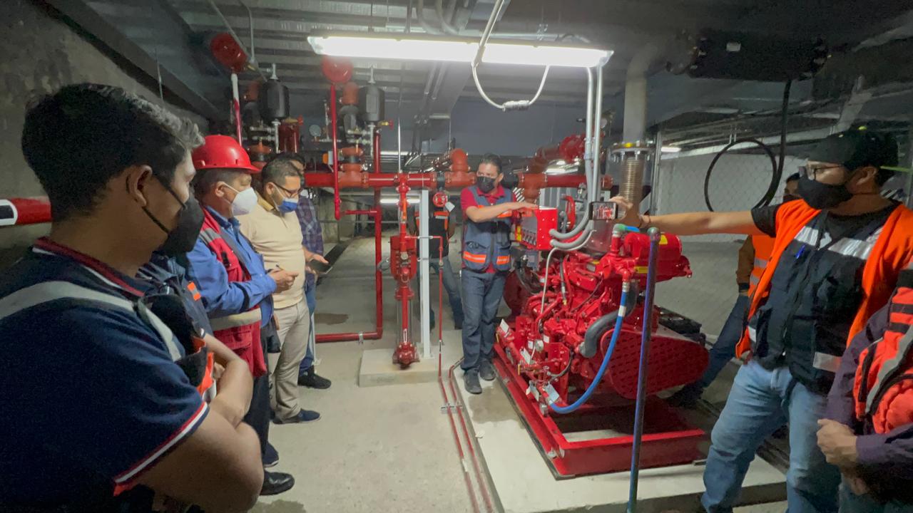 Equipo FirExperts trabajando